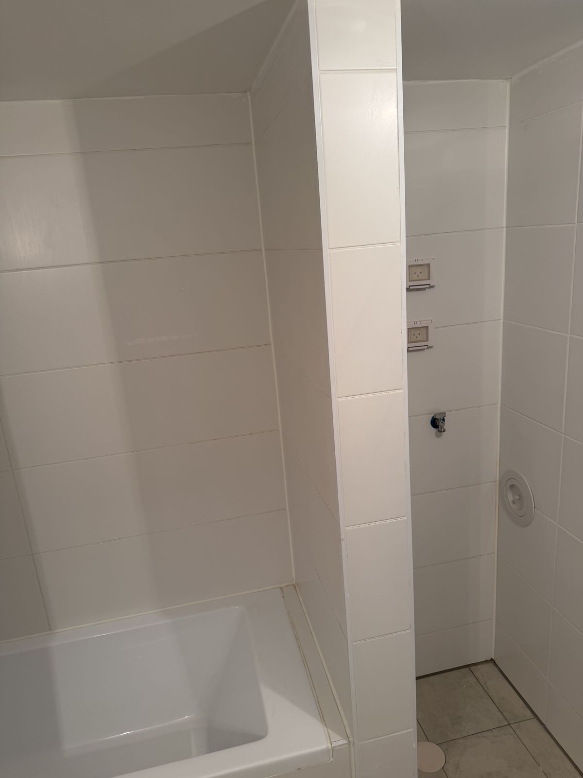 פארק הים בת ים פרויקט נקסט שגית אלגמיש: בזמן העבודה